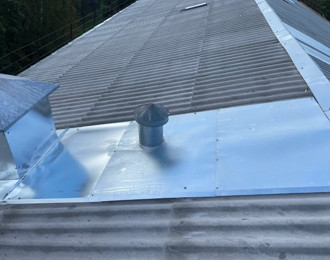 IMG_9734